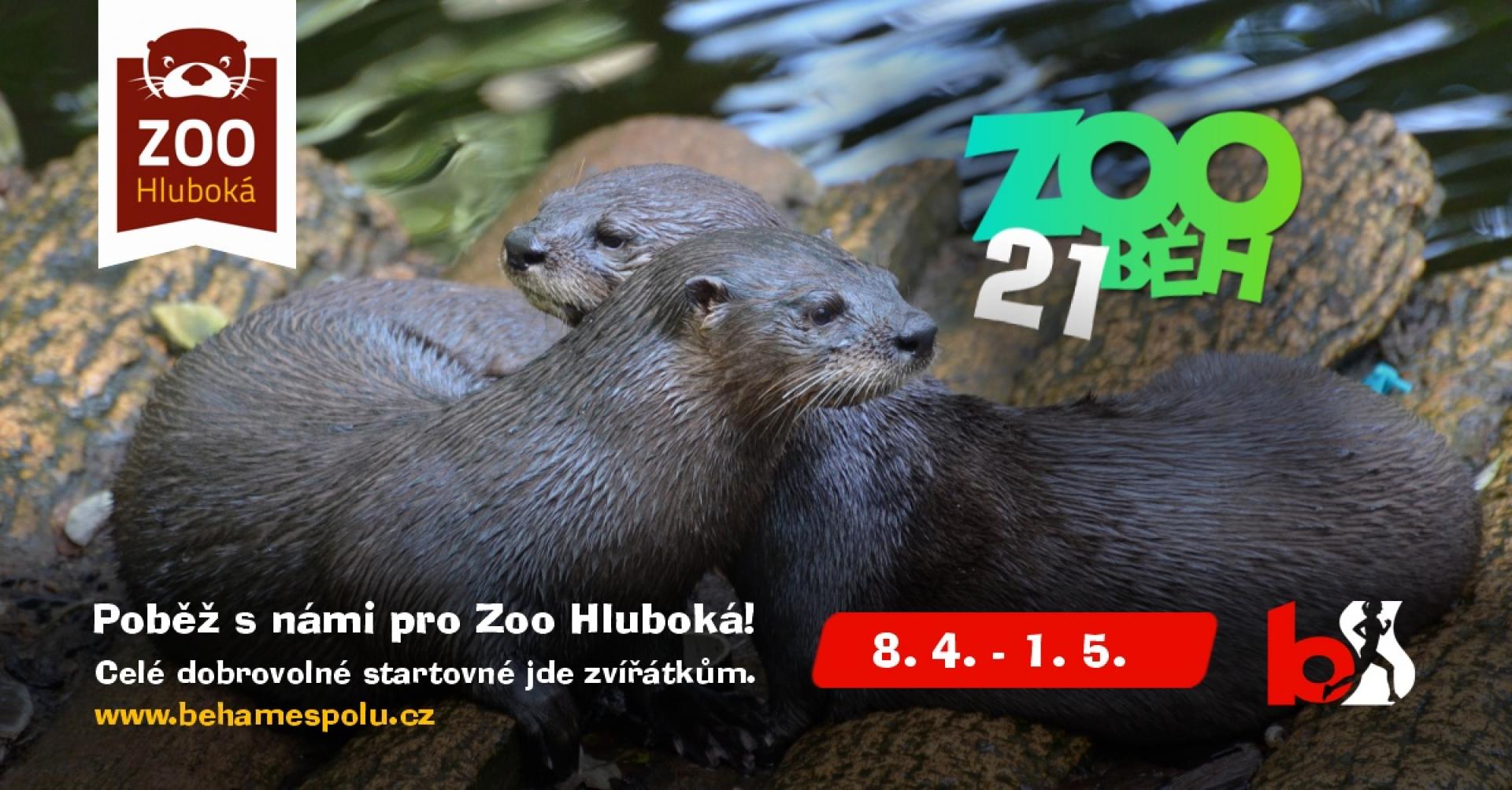 zoobeh21-propagace-1200x627.jpg