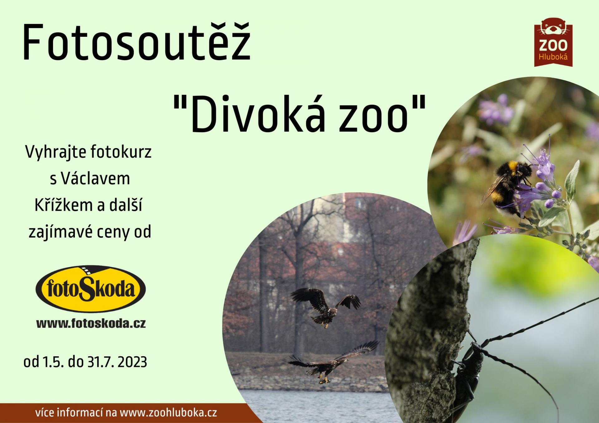 Divoka_zoo_A4.jpg