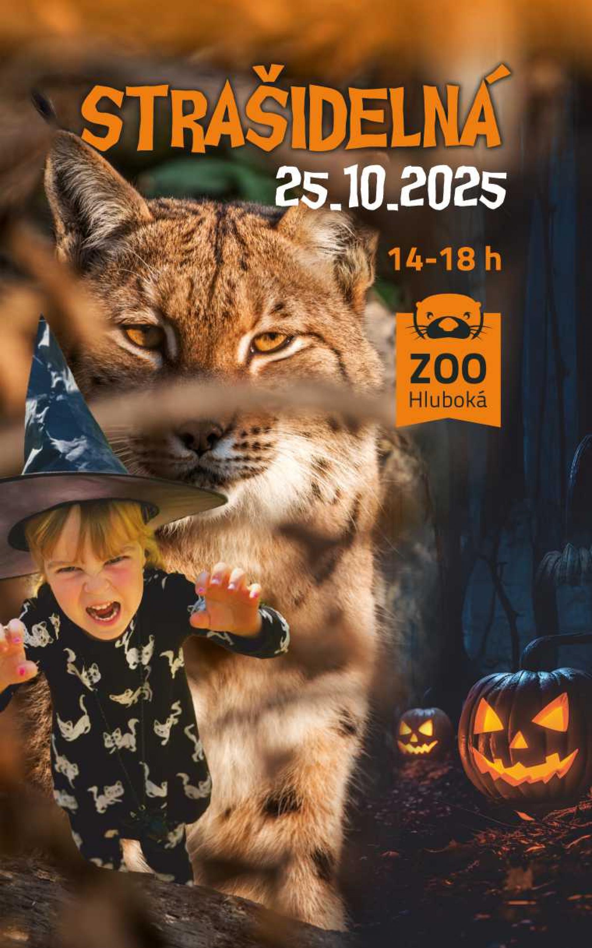 strašidelná zoo_25.jpg