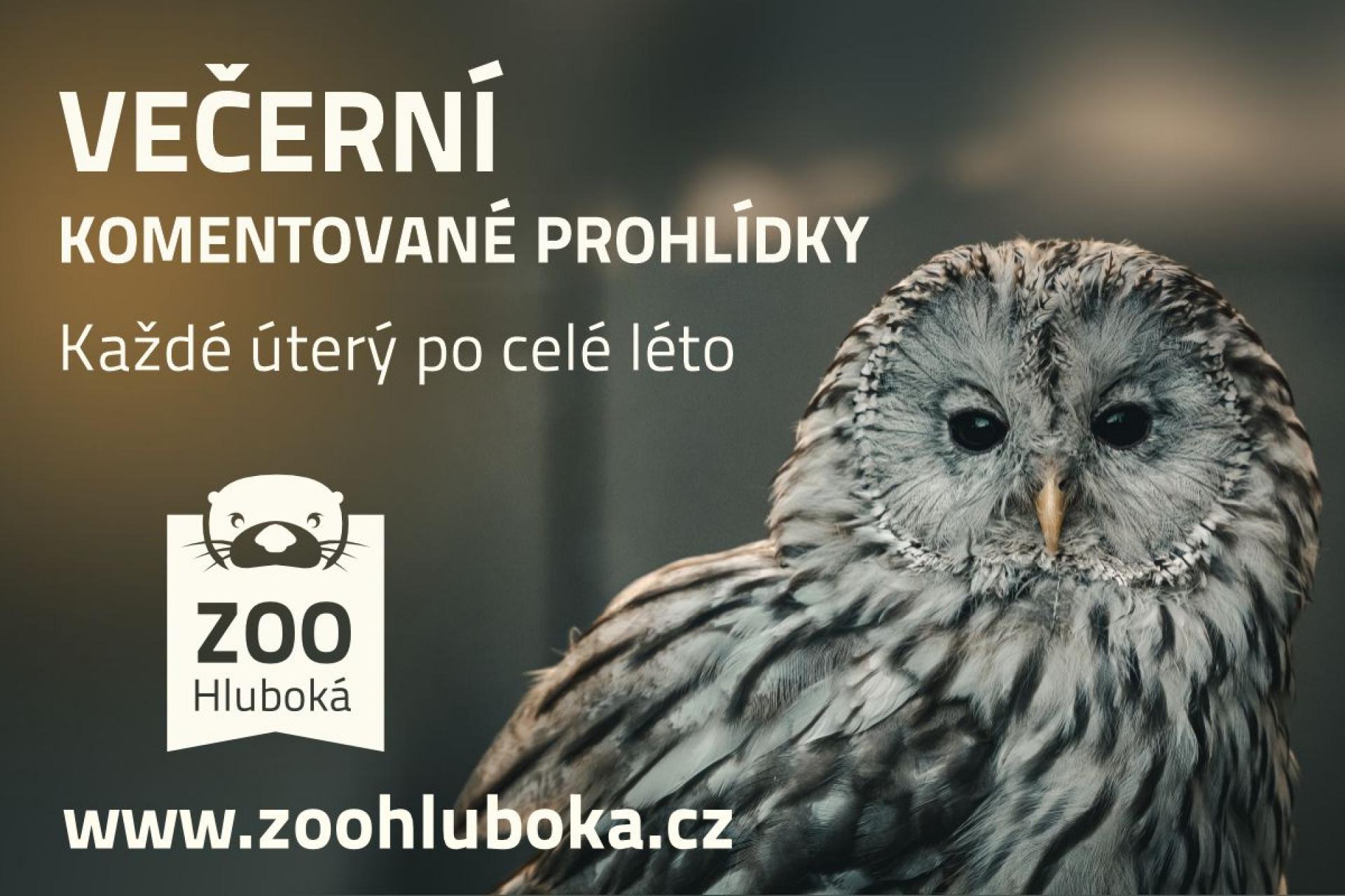 VKP_26.jpg